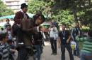 Pas si bete 001 * 3504 x 2336 * (3.51MB)